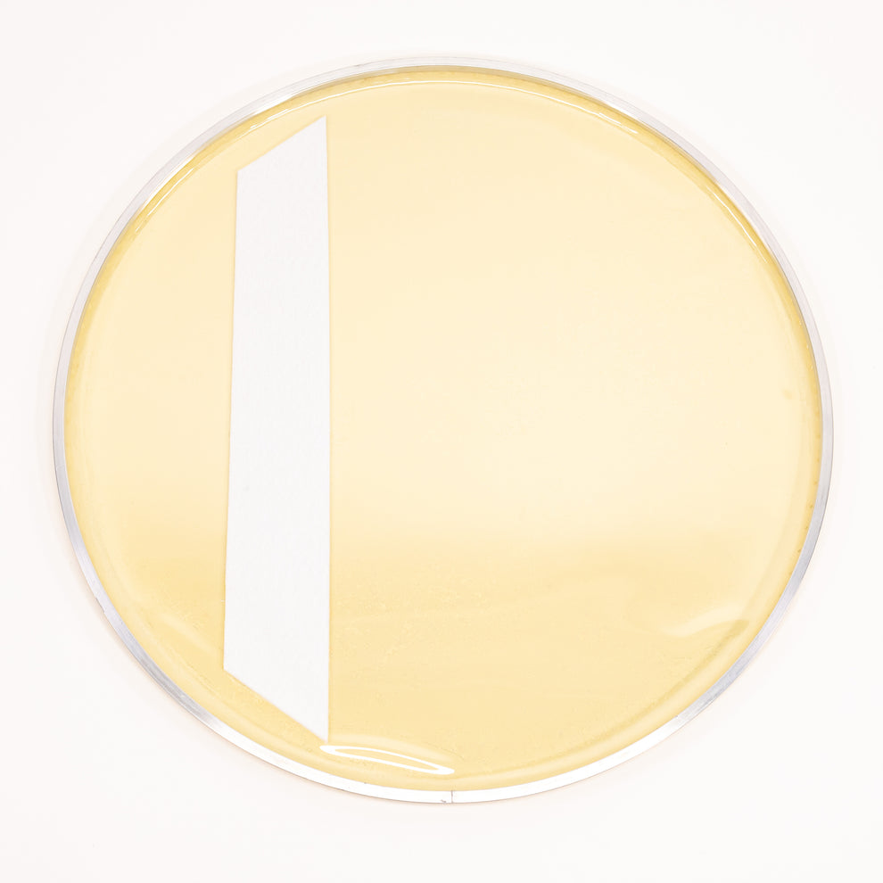 Aquarian Modern Vintage Medium Bass Drum Head w/ Felt Strip - MOTC-K