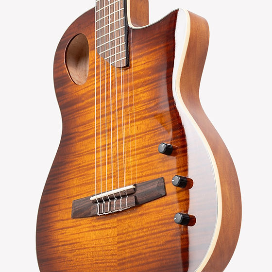 Angel Lopez Sherry Semi-Acoustic Guitar - Tobacco Sunburst